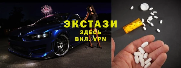 дживик Богородицк