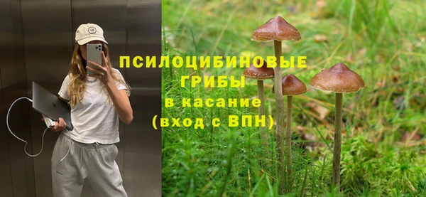 ECSTASY Бородино