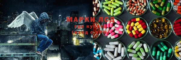 дживик Богородицк