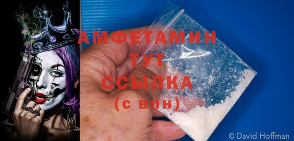 дживик Богородицк