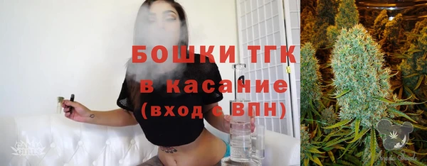 дживик Богородицк
