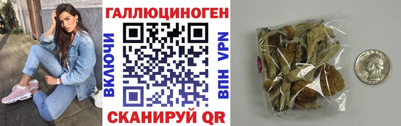Галлюциногенные грибы Psilocybe гидра маркетплейс Могоча